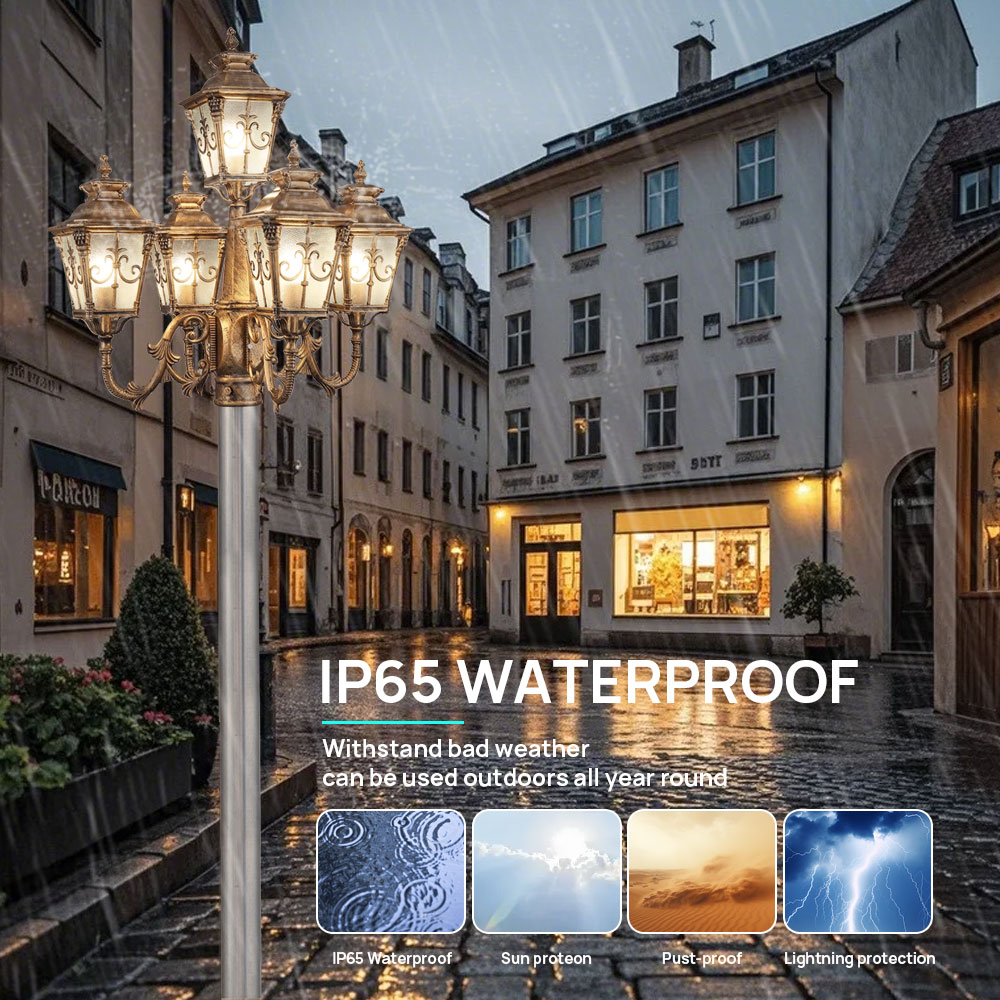 Customize Outdoor 5 Head Class - Outdoor Lighting Pole avis et prix
