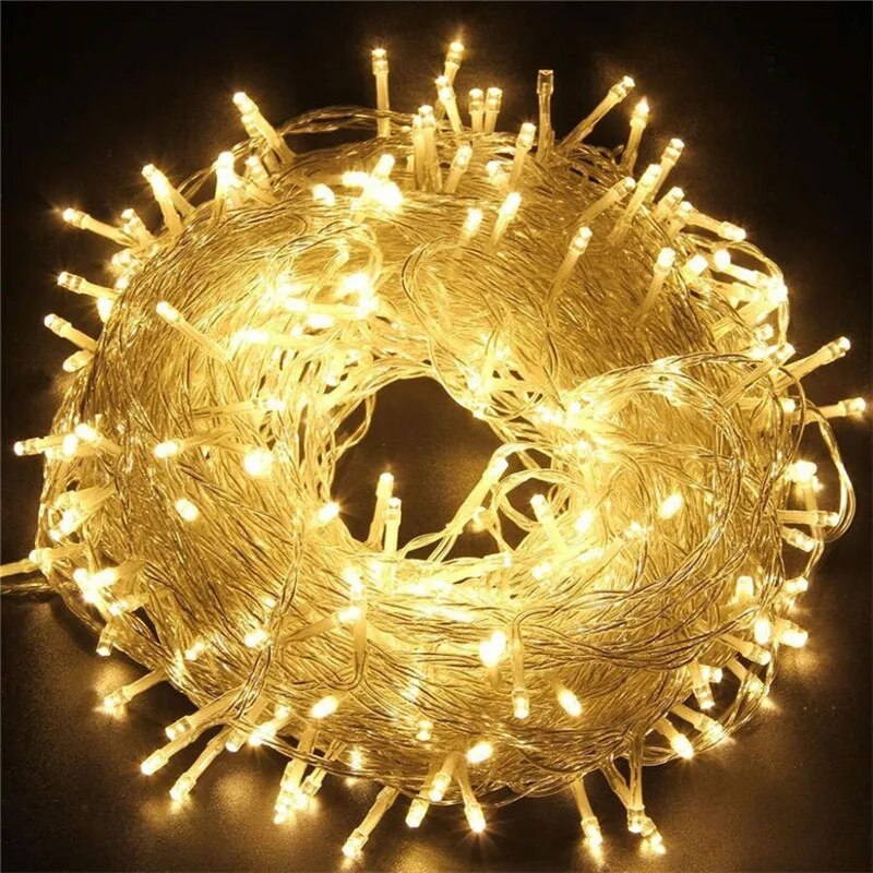 220V EU Plug 10M100LED Outdoor - Outdoor Lighting Sconce avis et prix