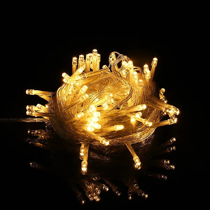 220V EU Plug 10M100LED Outdoor - Outdoor Lighting Sconce avis et prix
