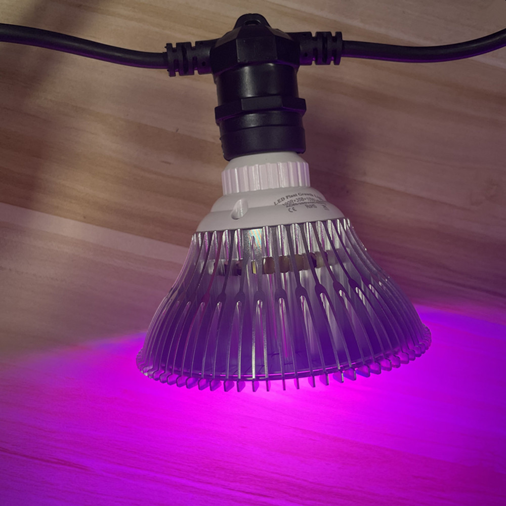 10M Cable LED String Commercia - Outdoor Lighting In Ground avis et prix