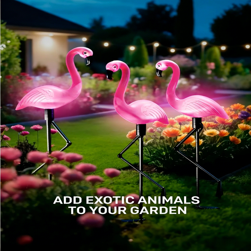 3Pcs Solar Powered Flamingo Gr - Outdoor Lighting In Ground avis et prix