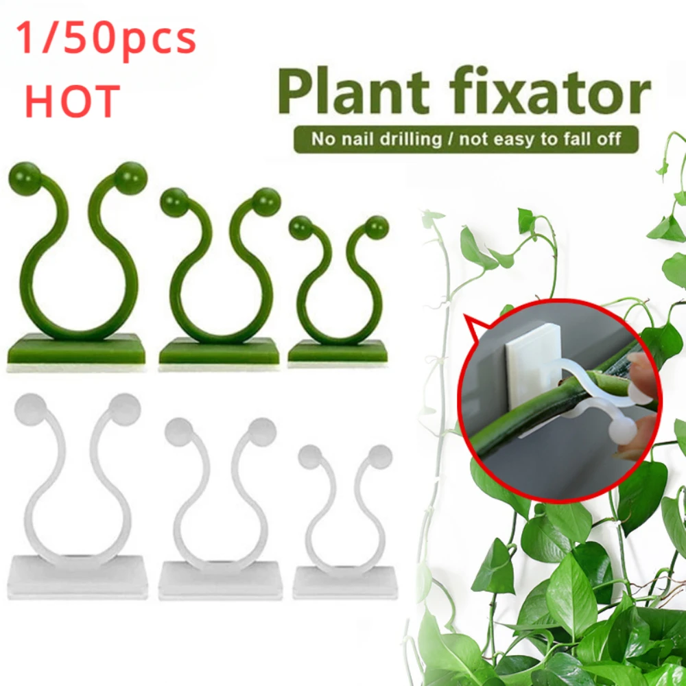 1/30/50Pcs For Garden Accsesor - Outdoor Lighting Sconce avis et prix